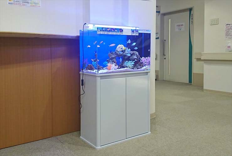 総合病院 待合室の活用で水槽を設置 不安や緊張を緩和します 水槽画像2