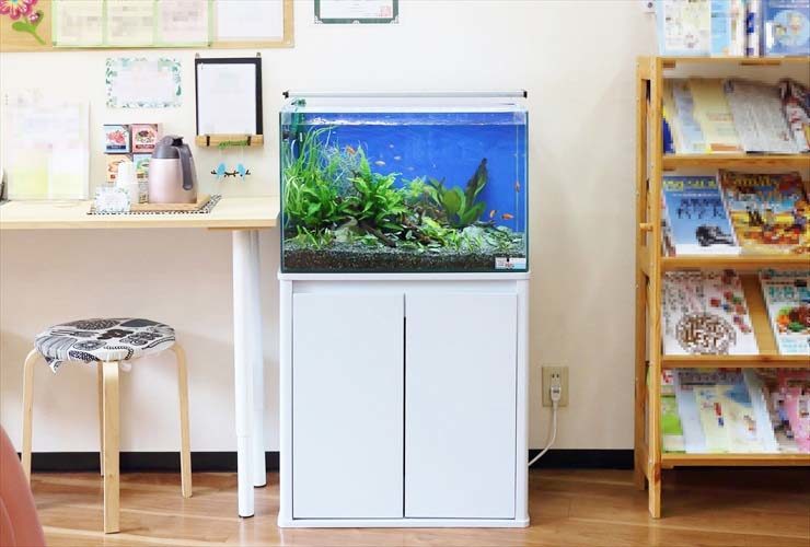 文京区 薬局 待合室のインテリアとして 水槽レンタル事例 水槽画像1