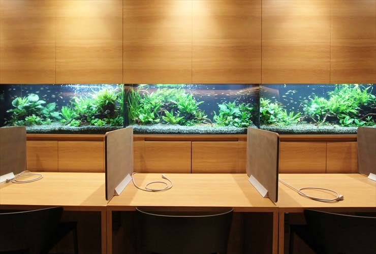東京アクアガーデン2018年全国水槽メンテナンスが可能に