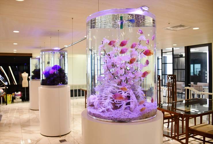 ポップカラーなシクリッドの円柱水槽