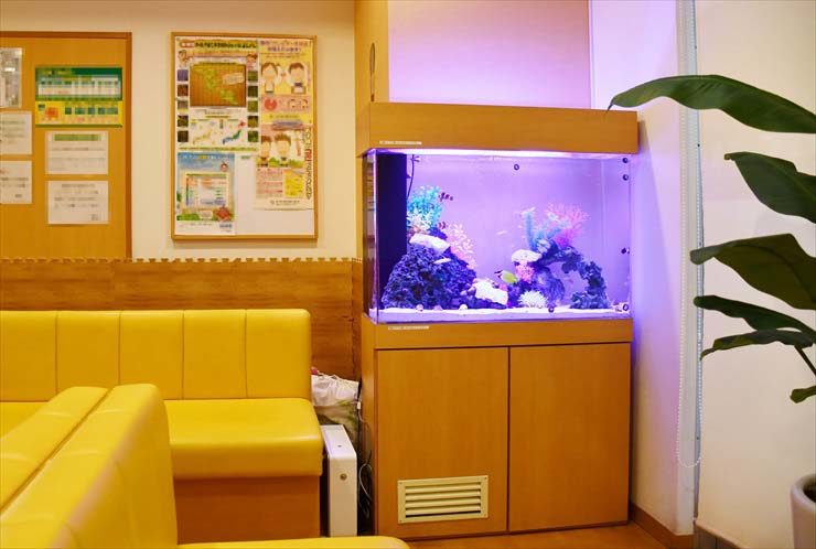 待合室の黄色いソファ横に設置された海水魚水槽