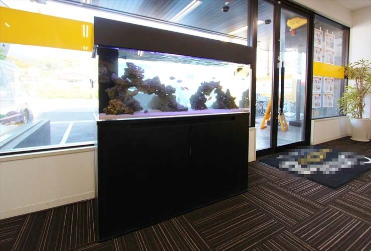 千葉県 千葉市 不動産 120cm海水魚水槽 設置事例 水槽画像1