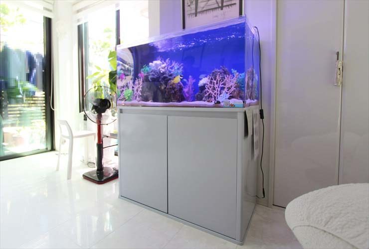 白い水槽台に設置されたサンゴ礁レイアウトの海水魚水槽