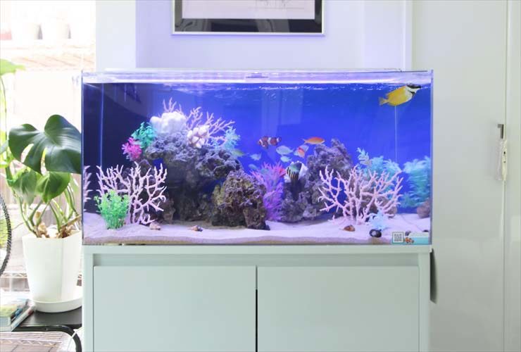 白い水槽台に置かれたサンゴと海水魚が泳ぐ水槽の全景
