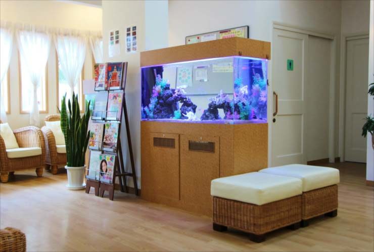 脳神経クリニック　待合室に設置　海水魚水槽レイアウト　リニューアル事例のサムネイル画像
