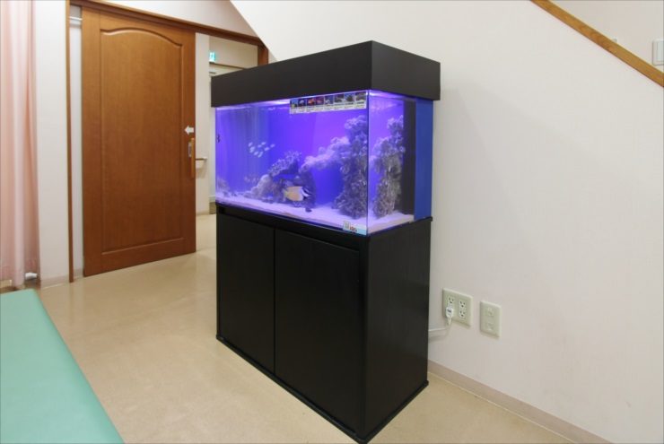 あきる野市 内科小児科クリニック 水槽サイズアップ リニューアル事例 水槽画像1