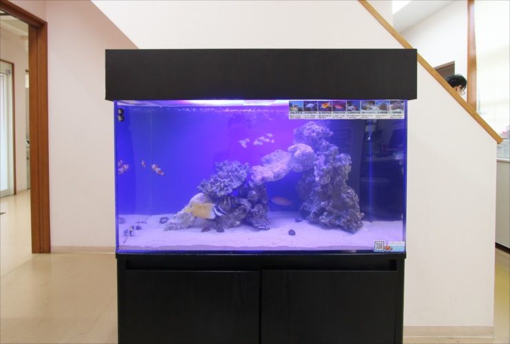 あきる野市 内科小児科クリニック 水槽サイズアップ リニューアル事例 水槽画像2