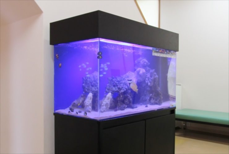 あきる野市 内科小児科クリニック 水槽サイズアップ リニューアル事例 水槽画像3