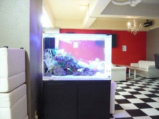 東京都中野区 飲食店様 90cm海水魚水槽 設置事例のサムネイル画像