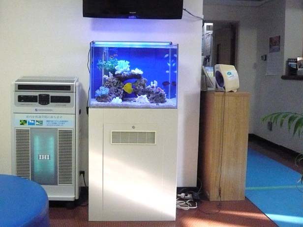 東京都羽村市 病院様  60cm海水魚水槽  レンタル事例のサムネイル画像