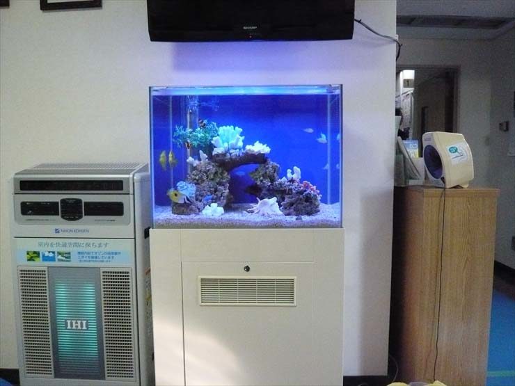 東京都羽村市 病院様 60cm海水魚水槽 レンタル事例 水槽画像3
