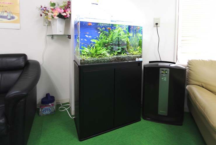 北区 オフィス事務所 60cm淡水魚水槽 設置事例 水槽画像3