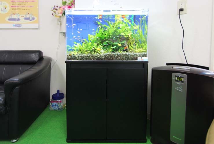 北区 オフィス事務所 60cm淡水魚水槽 設置事例のサムネイル画像