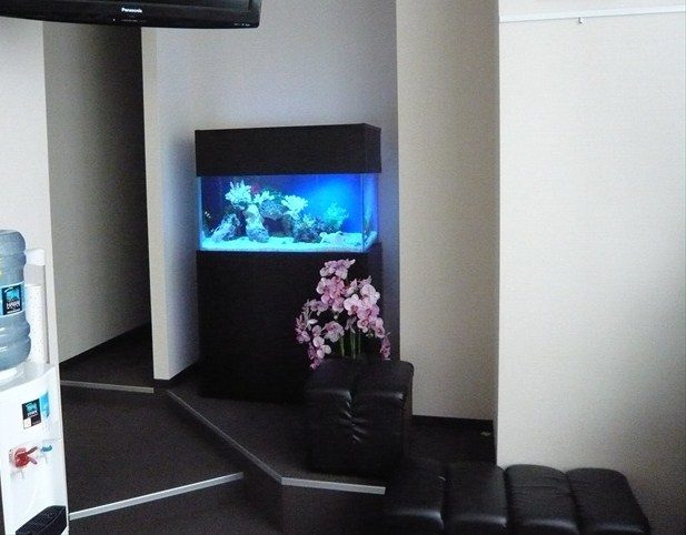 神奈川県横浜市 歯科医院様 90cm海水魚水槽 設置事例 メイン画像