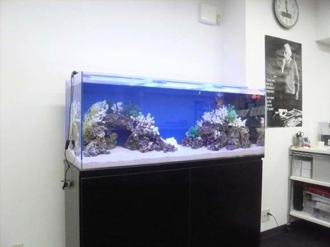 埼玉県川口市 企業様 150cm海水魚水槽 設置事例のサムネイル画像