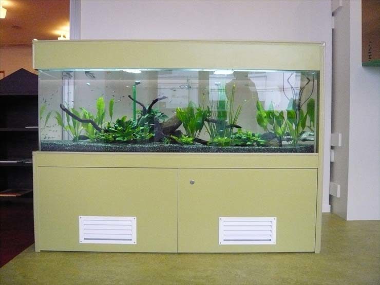 東京都世田谷区 保育園様  150cm淡水魚水槽  設置事例 水槽画像３