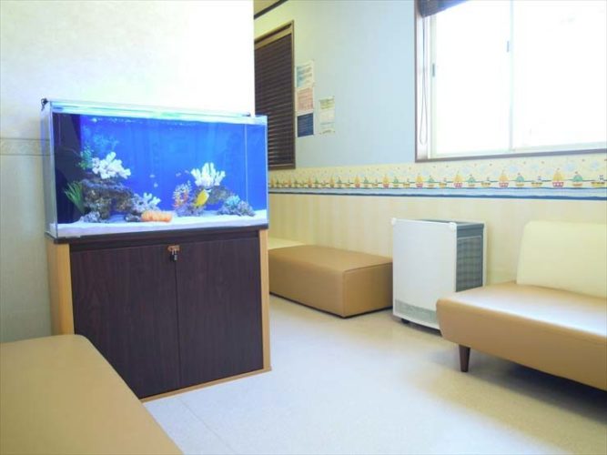 神奈川県茅ケ崎市 小児科様 90cm海水魚水槽 レンタル事例のサムネイル画像
