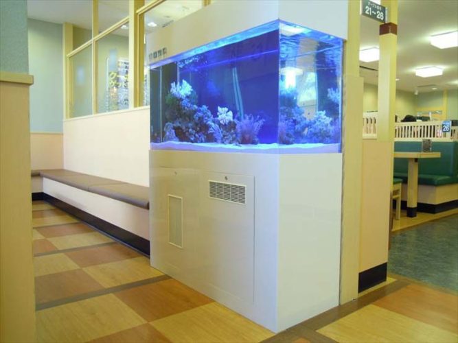 神奈川県海老名市 飲食店様  120cm海水魚水槽  設置事例のサムネイル画像