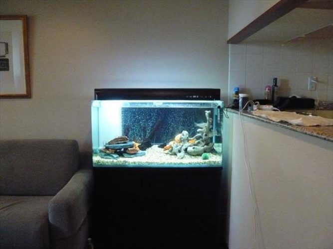 都内 個人宅様 90cm淡水魚水槽 水槽リニューアル事例のサムネイル画像