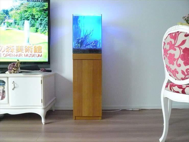 神奈川県横浜市 個人宅様  30cm淡水魚水槽  設置事例 水槽画像２