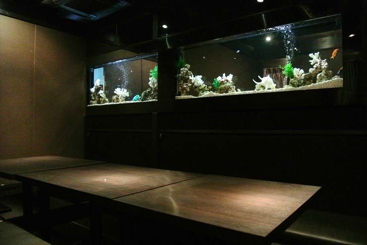 東京都豊島区 飲食店様 水槽メンテナンス事例のサムネイル画像