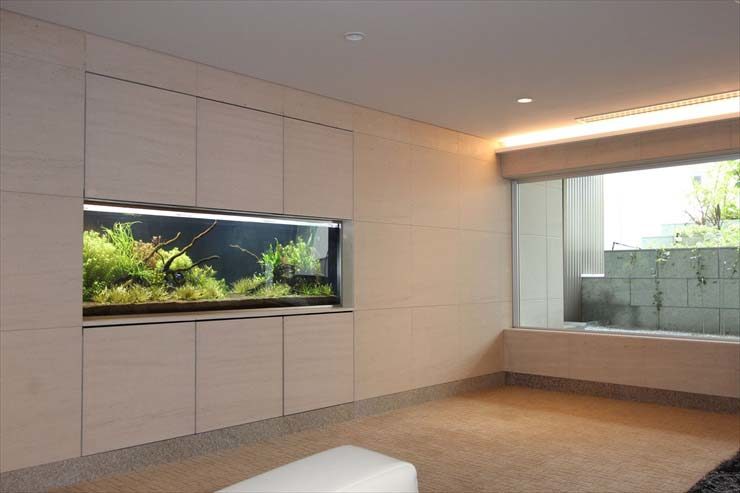 東京都品川区 マンション様 180cm淡水魚水槽 設置事例のサムネイル画像