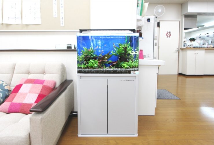 吉祥寺 高齢者センター 60cm淡水魚水槽 販売・メンテナンス事例