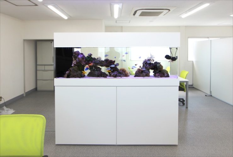 神奈川県 オフィス事務所に設置 大型海水魚水槽 販売・水槽移動事例 水槽画像2