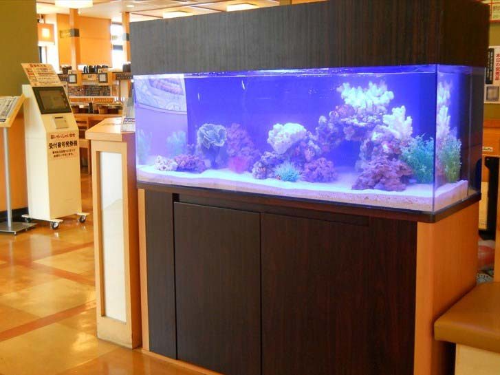栃木県 飲食店様 120cm海水魚水槽 設置事例 水槽画像3