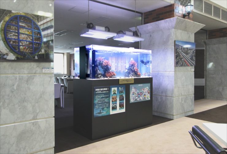 横浜市 オフィスのエントランス 150cm海水サンゴ水槽 販売・メンテナンス事例