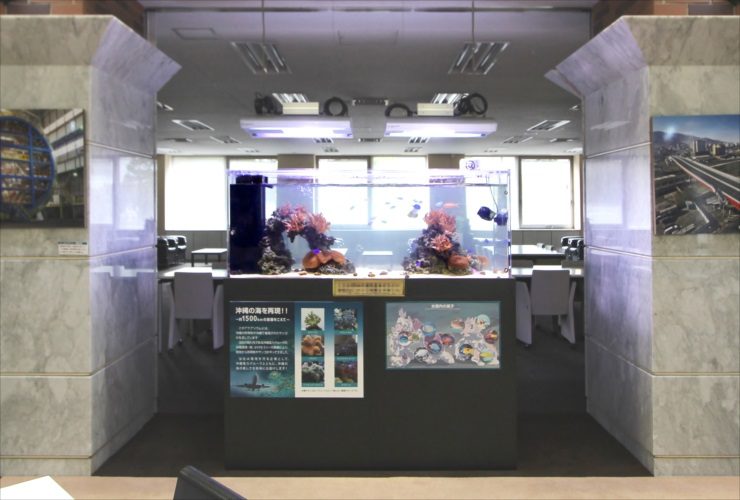 横浜市 オフィスのエントランス 150cm海水サンゴ水槽 販売・メンテナンス事例 水槽画像3
