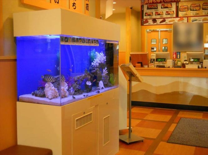 東京都足立区 飲食店様 120cm海水魚水槽 設置事例 メイン画像