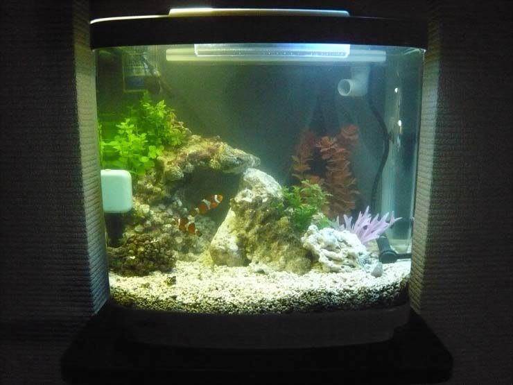 東京都立川市 サロン様 水槽設置事例 水槽画像3