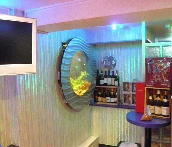 都内 飲食店様 水槽設置事例 水槽画像2