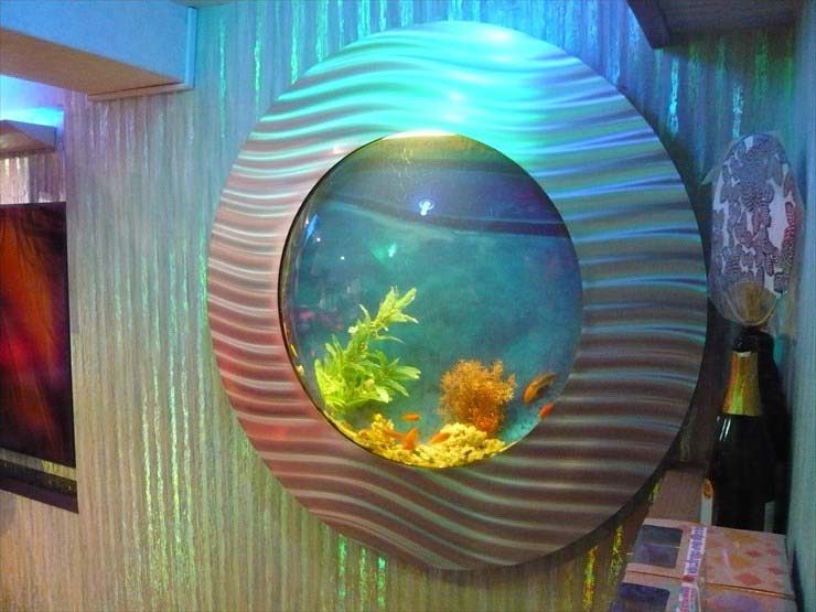 都内 飲食店様 水槽設置事例 水槽画像3