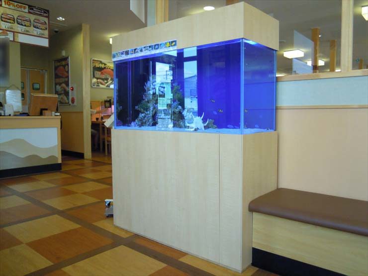神奈川県平塚市 飲食店様 120cm海水魚水槽 設置事例 水槽画像1