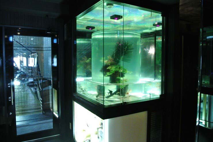 大阪府中央区 飲食店様  水槽設置事例 メイン画像