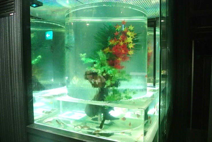 大阪府中央区 飲食店様 水槽設置事例 水槽画像3