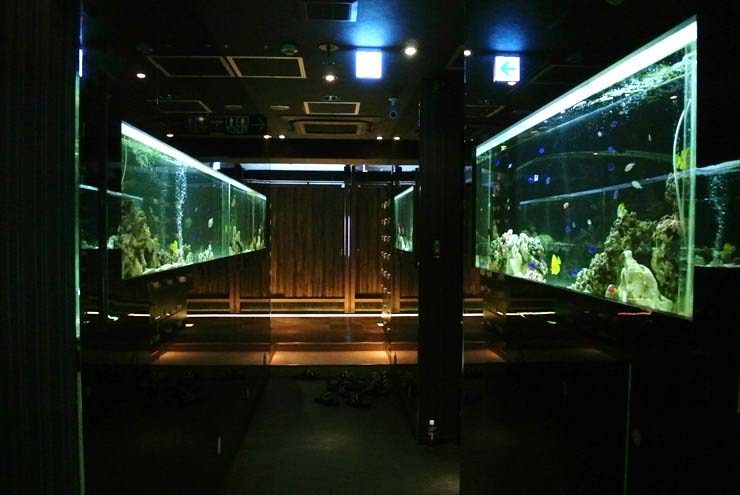 大阪府中央区 飲食店様 水槽設置事例のサムネイル画像