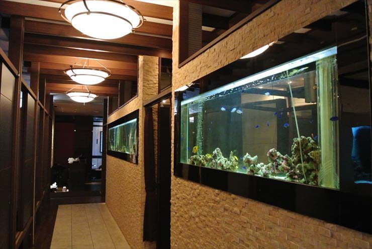 大阪府中央区 飲食店様 水槽設置事例のサムネイル画像
