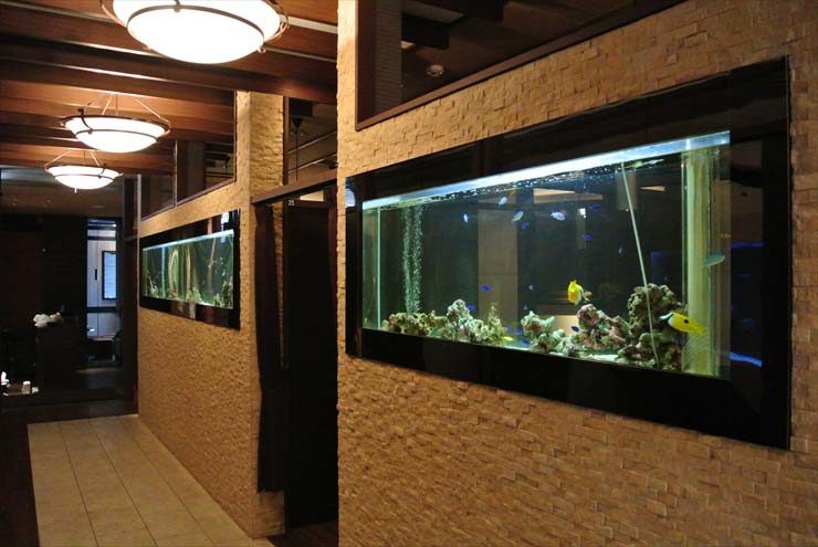 大阪府中央区 飲食店様 水槽設置事例 水槽画像3