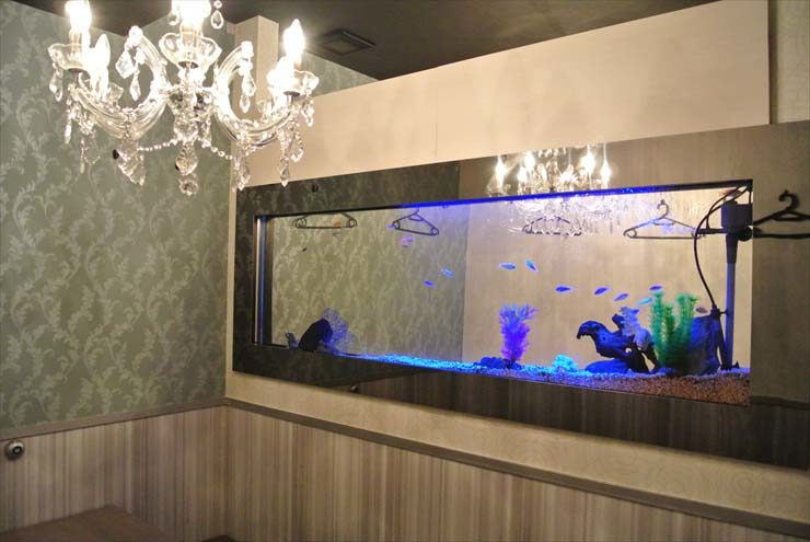 大阪府 中央区  飲食店様  水槽設置事例 水槽画像２