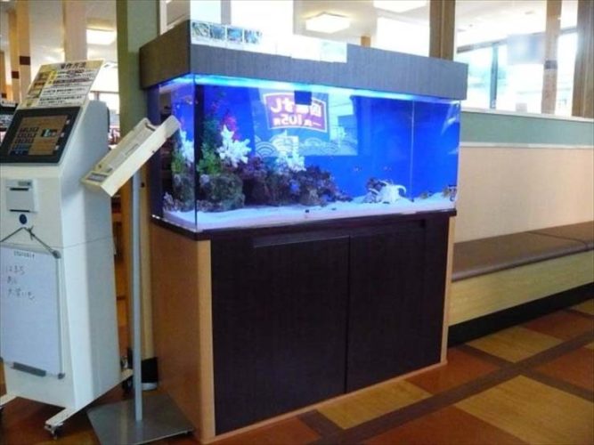 埼玉県さいたま市 飲食店様  120cm海水魚水槽  設置事例のサムネイル画像