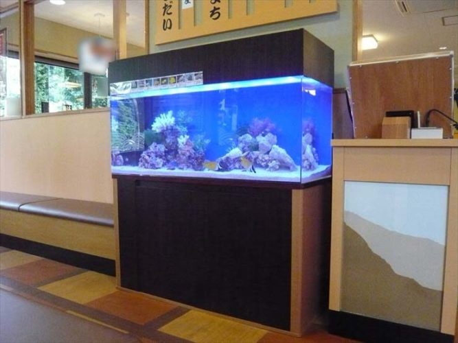 神奈川県綾瀬市 飲食店様  120cm海水魚水槽  設置事例のサムネイル画像
