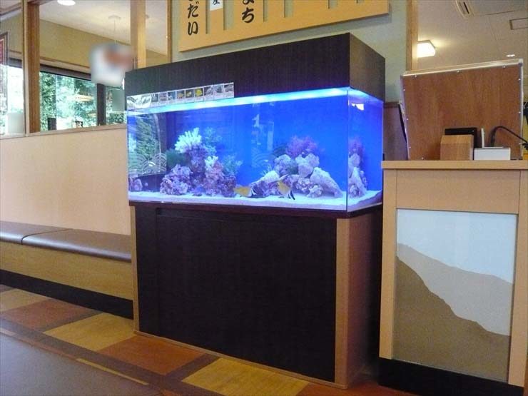 神奈川県綾瀬市 飲食店様 120cm海水魚水槽 設置事例 水槽画像1