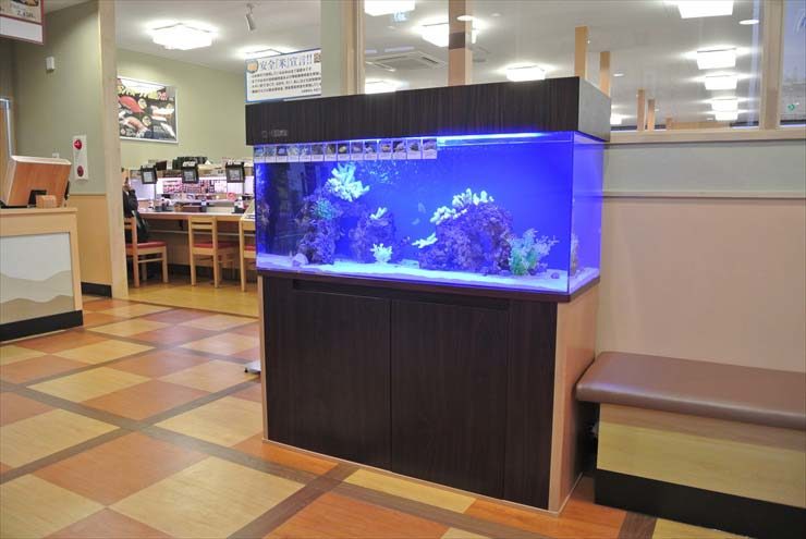 埼玉県草加市 飲食店様 120cm海水魚水槽 設置事例 水槽画像2