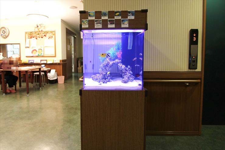 埼玉県さいたま市 施設様 50cm海水魚水槽 設置事例のサムネイル画像