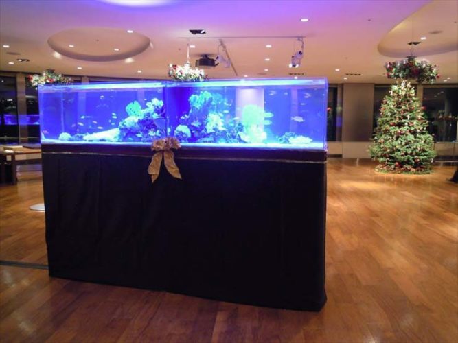 六本木クラブ様 クリスマスイベント 水槽設置事例のサムネイル画像