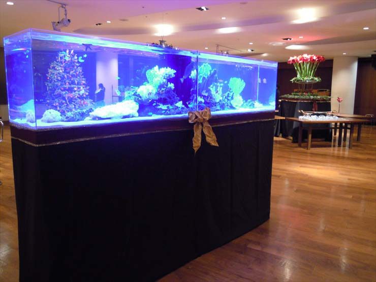 六本木クラブ様 クリスマスイベント 水槽設置事例 水槽画像2