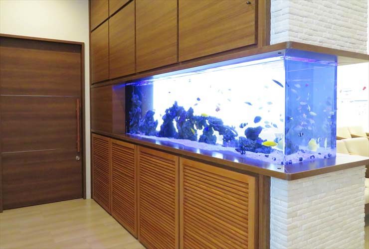 整形外科 待合室 大型海水魚水槽メンテナンス レイアウトリニューアル事例 水槽画像1